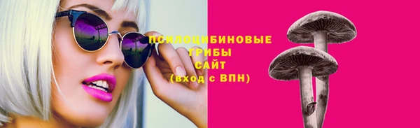 ешки Переславль-Залесский