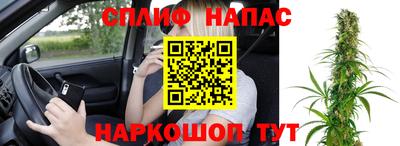 тгк Славянск-на-Кубани