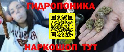 прущие грибы Ставрополь