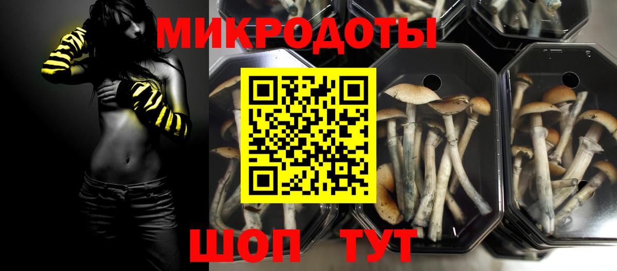 Тюмень  магазин продажи   Галлюциногенные грибы ЛСД  Вход с VPN  Галлюциногенные грибы GOLDEN TEACHER 